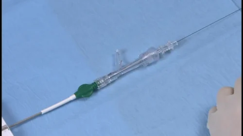 tazuna-ptca-balloon-catheter-500x500 (2)